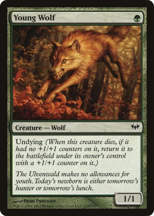 Young Wolf in the group Magic the Gathering / Sets / Darksteel at Proxyprinters.com (4608)