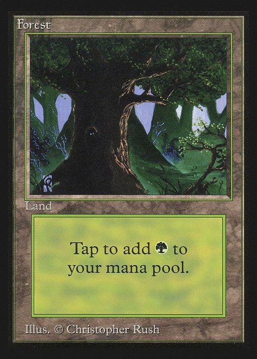 Forest in the group Magic the Gathering / Sets / Intl. Collectors' Edition at Proxyprinters.com (46166)