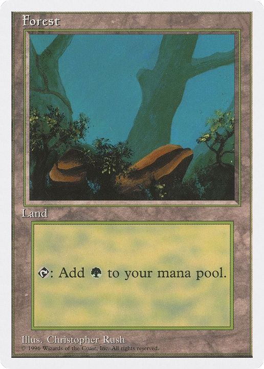 Forest in the group Magic the Gathering / Types / Land / Forest at Proxyprinters.com (4668)