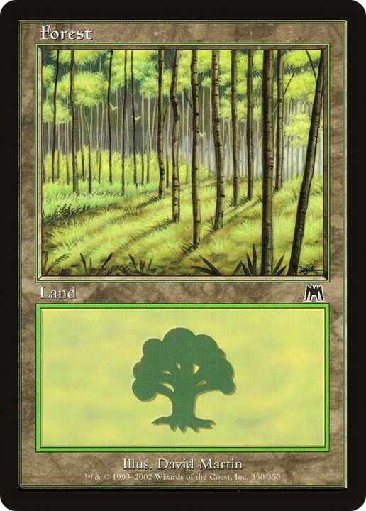 Forest in the group Magic the Gathering / Types / Land / Forest at Proxyprinters.com (47822)