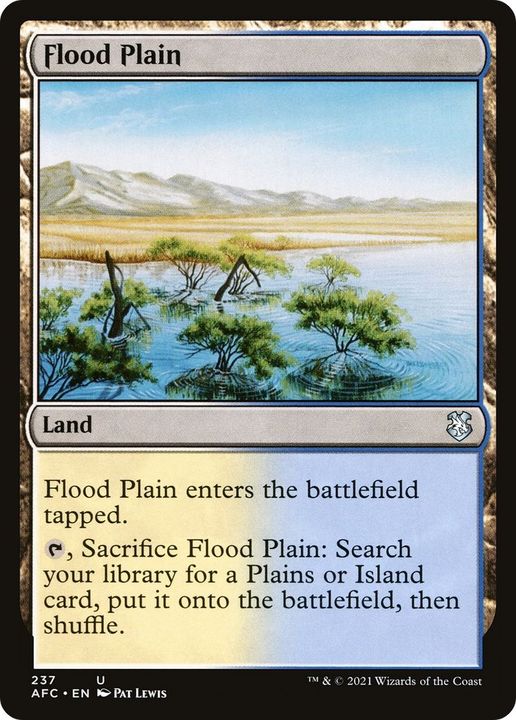 Flood Plain in the group Advanced search at Proxyprinters.com (48164)