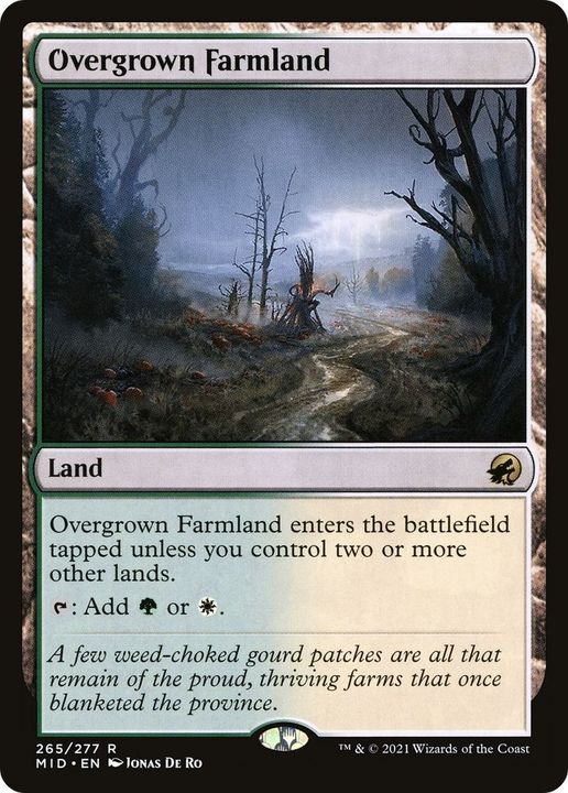 Overgrown Farmland in the group Singles at Proxyprinters.com (48293)