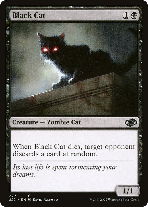 Black Cat in the group Singles at Proxyprinters.com (48399)