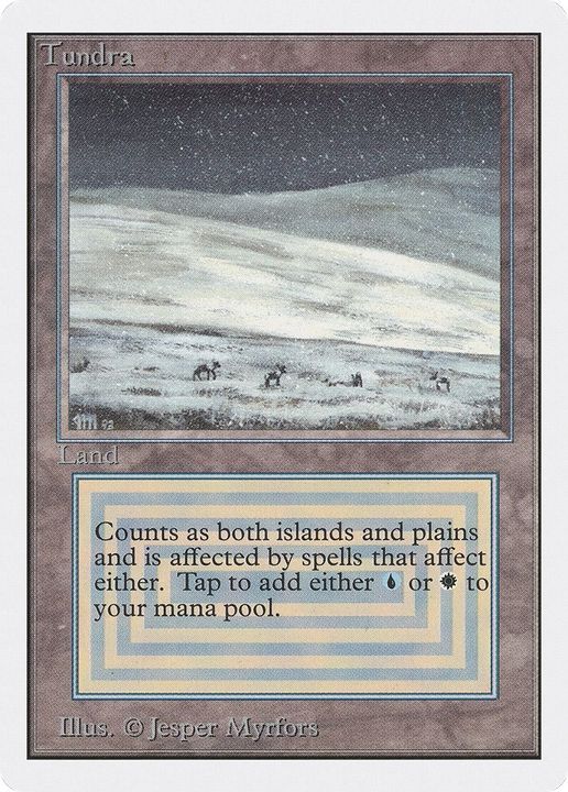 Tundra in the group Magic the Gathering / Types / Land / Island at Proxyprinters.com (4918)