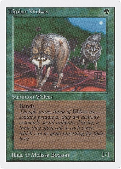 Timber Wolves in the group Advanced search at Proxyprinters.com (4970)