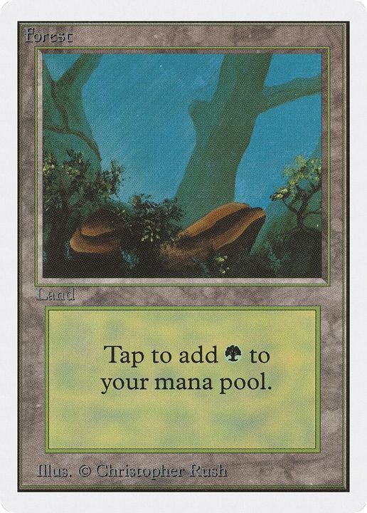 Forest in the group Magic the Gathering / Types / Land / Forest at Proxyprinters.com (49888)