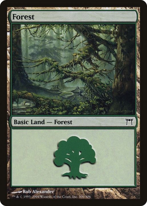 Forest in the group Magic the Gathering / Sets / Champions of Kamigawa at Proxyprinters.com (49944)