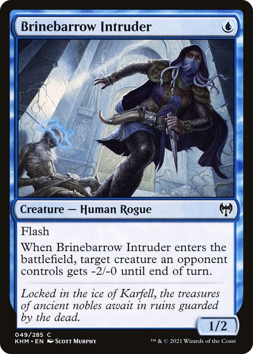 Brinebarrow Intruder in the group Magic the Gathering / Types / Creatures / Human at Proxyprinters.com (50178)