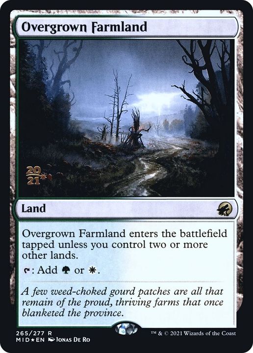 Overgrown Farmland in the group Magic the Gathering / Types / Colors / Colorless at Proxyprinters.com (5018)