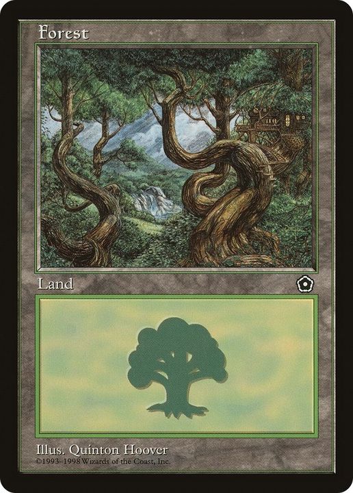 Forest in the group Magic the Gathering / Types / Land / Forest at Proxyprinters.com (50334)