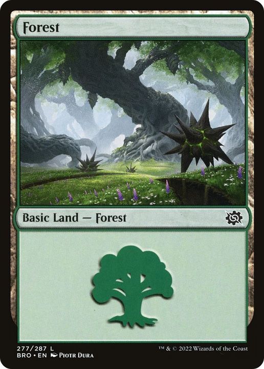 Forest in the group Magic the Gathering / Sets / The Brothers' War at Proxyprinters.com (50516)