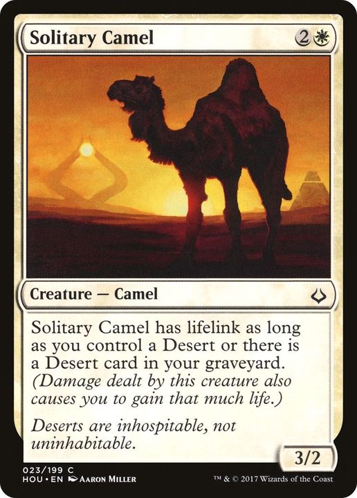 Solitary Camel in the group Singles at Proxyprinters.com (50644)