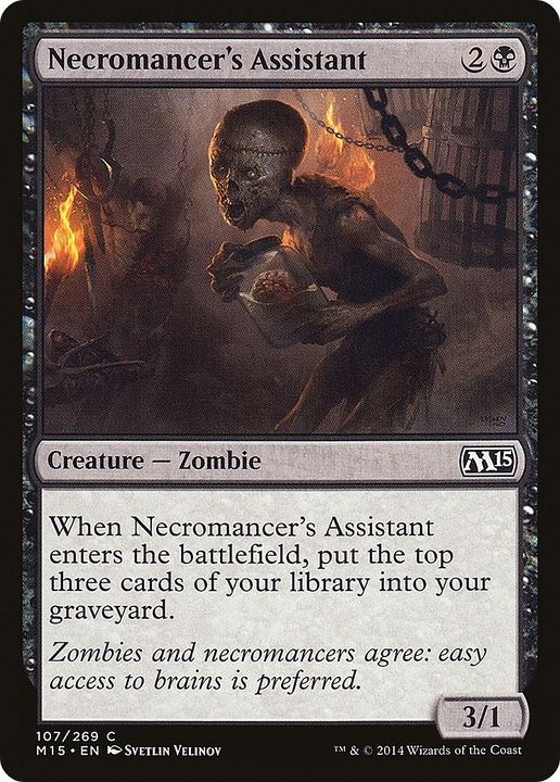 Necromancer's Assistant in the group Advanced search at Proxyprinters.com (50858)