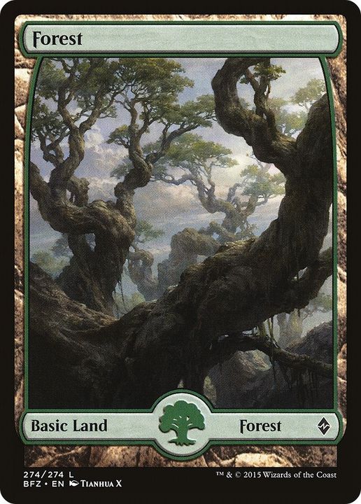 Forest in the group Singles at Proxyprinters.com (51247)