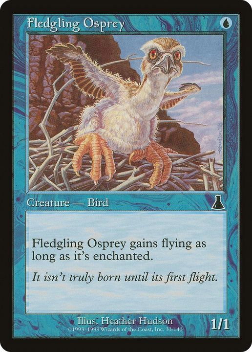 Fledgling Osprey in the group Magic the Gathering / Types / Colors / Blue at Proxyprinters.com (51369)