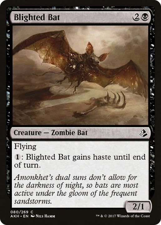 Blighted Bat in the group Magic the Gathering / Types / Creatures / Zombie at Proxyprinters.com (51682)