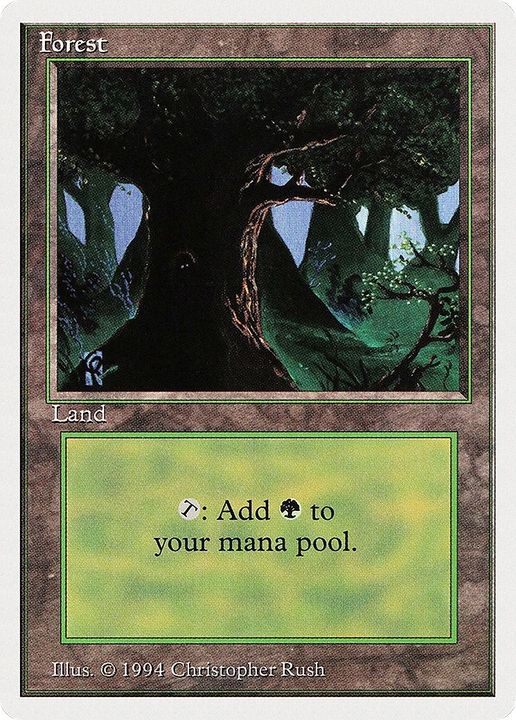 Forest in the group Magic the Gathering / Types / Land / Forest at Proxyprinters.com (51727)