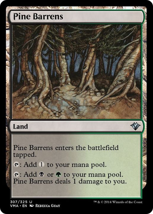 Pine Barrens in the group Magic the Gathering / Types / Colors / Colorless at Proxyprinters.com (5177)