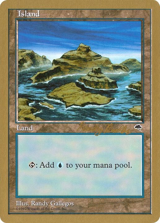 Island in the group Magic the Gathering / Types / Land / Island at Proxyprinters.com (51853)