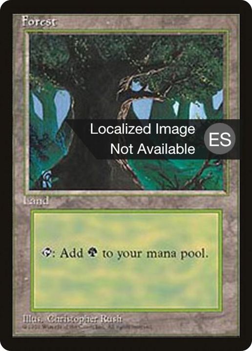 Forest in the group Magic the Gathering / Types / Land / Forest at Proxyprinters.com (52346)