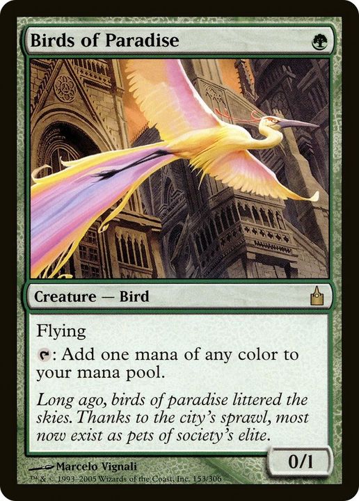 Birds of Paradise in the group Magic the Gathering / Types / Colors / Green at Proxyprinters.com (52771)