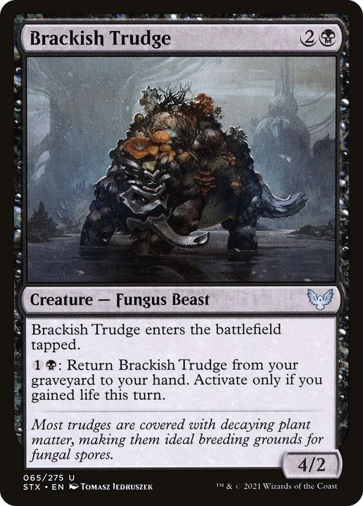 Brackish Trudge in the group Magic the Gathering / Sets / Strixhaven: School of Mages at Proxyprinters.com (52800)