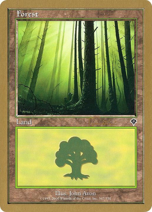 Forest in the group Magic the Gathering / Types / Land / Forest at Proxyprinters.com (52998)