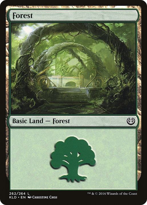 Forest in the group Magic the Gathering / Types / Land / Forest at Proxyprinters.com (53545)