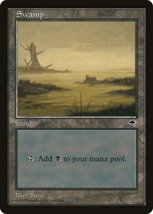 Swamp in the group Singles at Proxyprinters.com (53644)