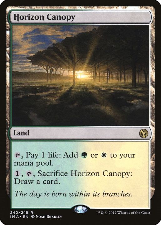 Horizon Canopy in the group Magic the Gathering / Types / Colors / Colorless at Proxyprinters.com (53918)