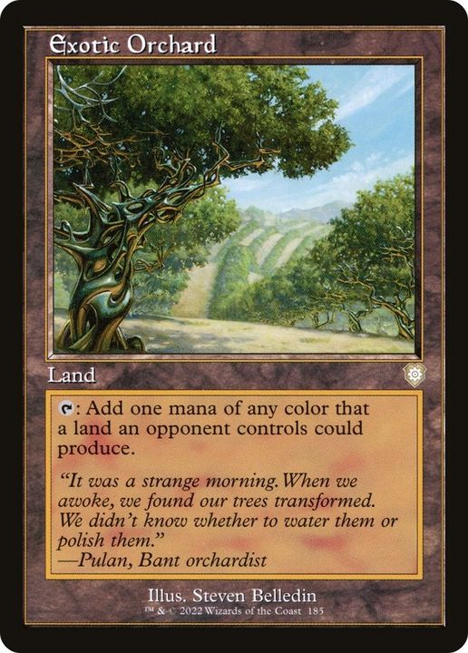 Exotic Orchard in the group Magic the Gathering / Sets / The Brothers' War Commander at Proxyprinters.com (54575)