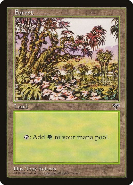 Forest in the group Magic the Gathering / Types / Land / Forest at Proxyprinters.com (54595)