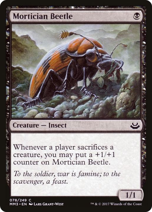Mortician Beetle in the group Advanced search at Proxyprinters.com (55236)