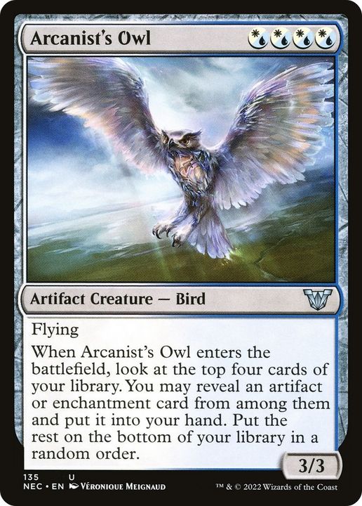 Arcanist's Owl in the group Advanced search at Proxyprinters.com (55497)