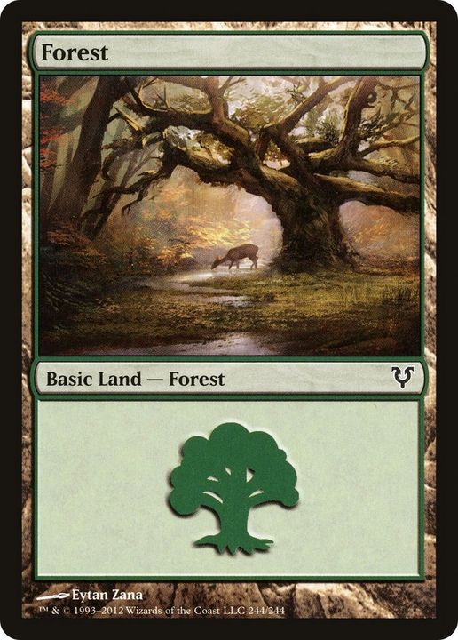 Forest in the group Magic the Gathering / Types / Land / Forest at Proxyprinters.com (55826)