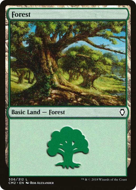 Forest in the group Magic the Gathering / Types / Land / Forest at Proxyprinters.com (56138)