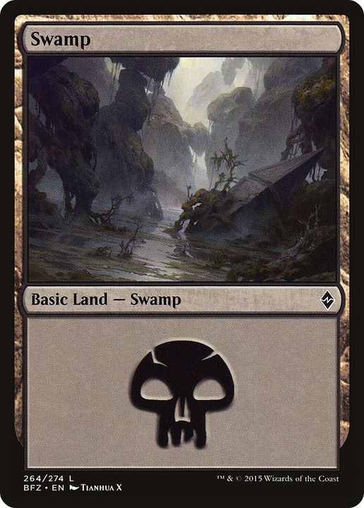 Swamp in the group Magic the Gathering / Types / Land / Swamp at Proxyprinters.com (56716)