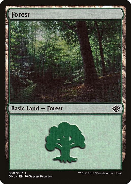 Forest in the group Magic the Gathering / Types / Land / Forest at Proxyprinters.com (56773)