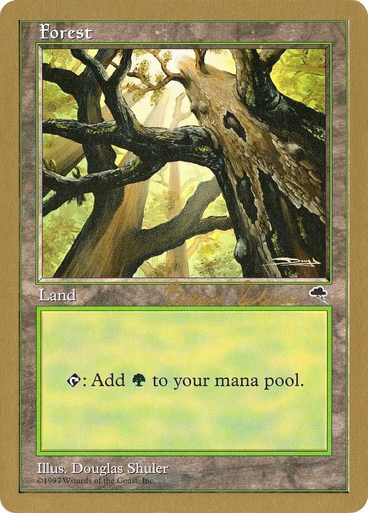 Forest in the group Singles at Proxyprinters.com (56928)