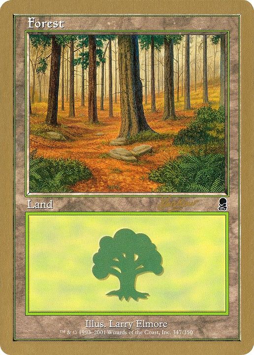 Forest in the group Magic the Gathering / Types / Land / Forest at Proxyprinters.com (57310)