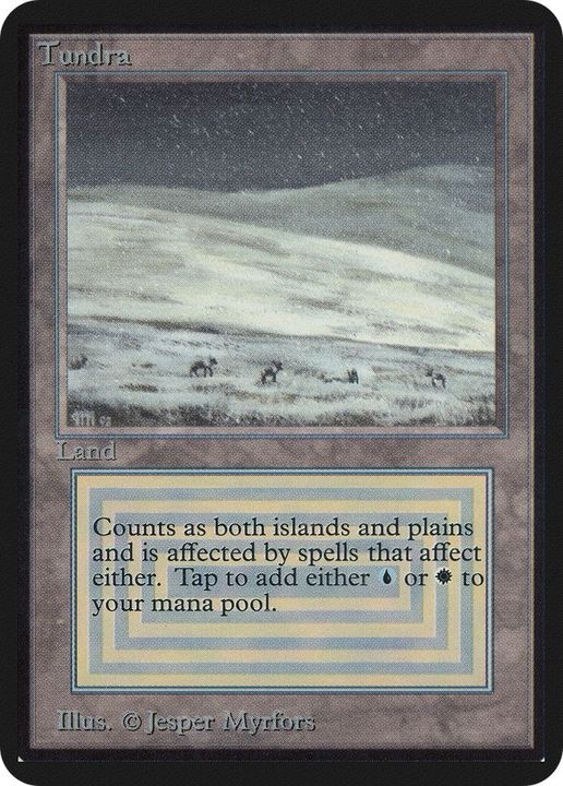 Tundra in the group Magic the Gathering / Types / Land / Island at Proxyprinters.com (58493)