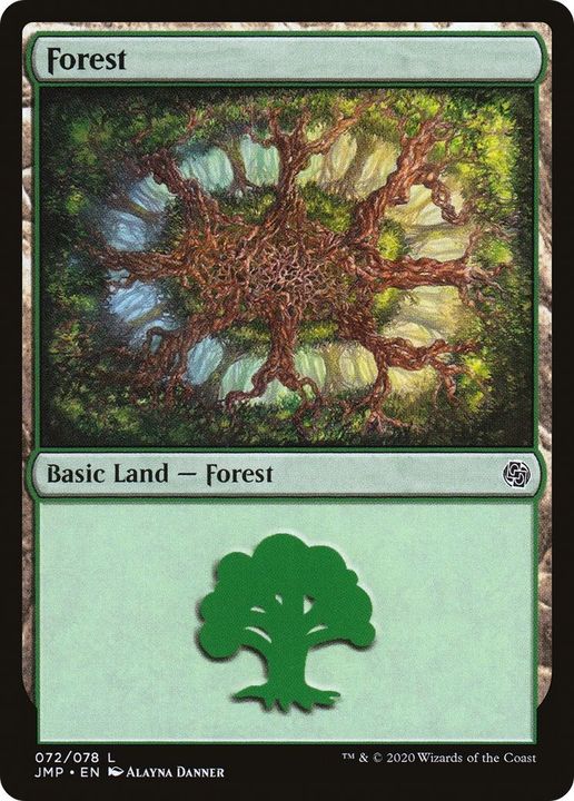 Forest in the group Magic the Gathering / Types / Land / Forest at Proxyprinters.com (585)