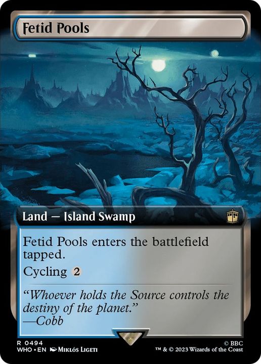 Fetid Pools in the group Magic the Gathering / Types / Land / Swamp at Proxyprinters.com (59496)