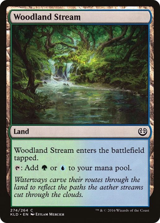 Woodland Stream in the group Advanced search at Proxyprinters.com (59604)