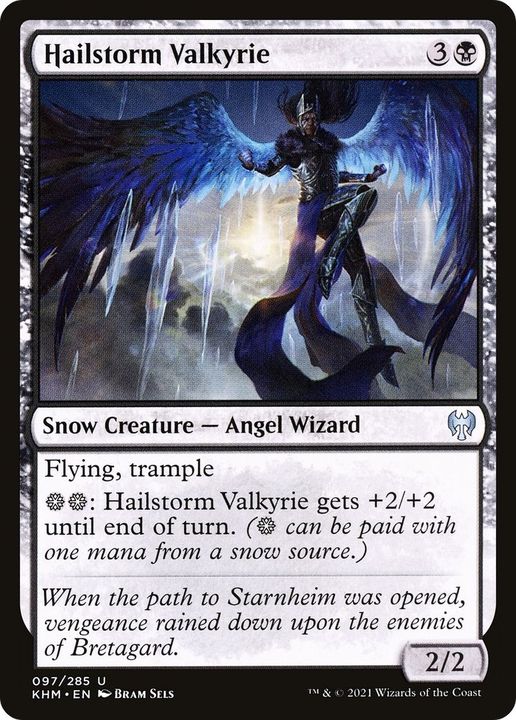 Hailstorm Valkyrie in the group Magic the Gathering / Types / Creatures / Wizard at Proxyprinters.com (60551)