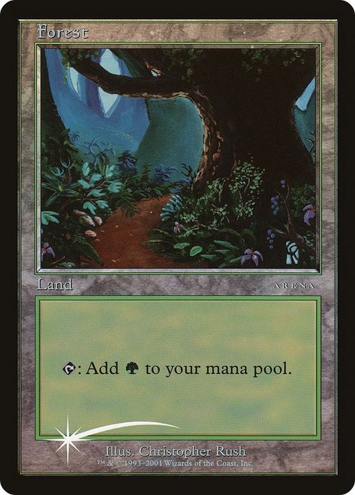 Forest in the group Magic the Gathering / Types / Land / Forest at Proxyprinters.com (60848)