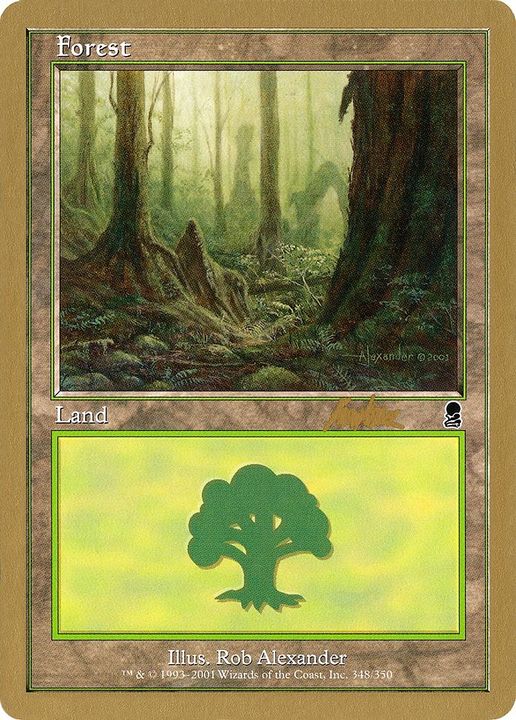 Forest in the group Magic the Gathering / Types / Land / Forest at Proxyprinters.com (6102)