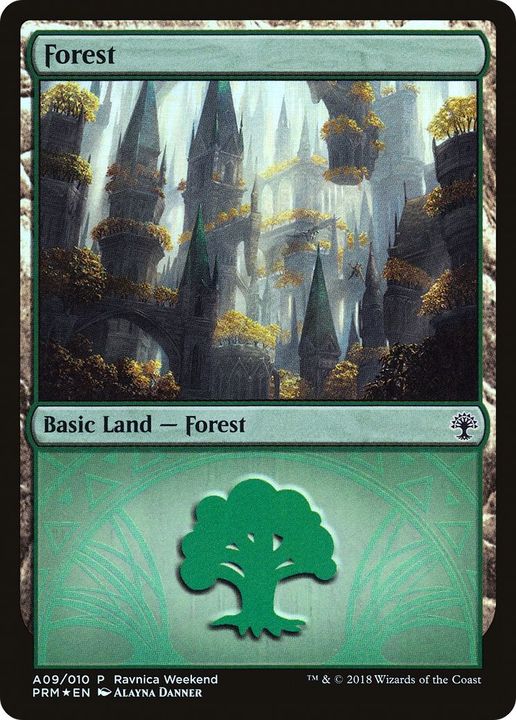 Forest in the group Singles at Proxyprinters.com (61190)