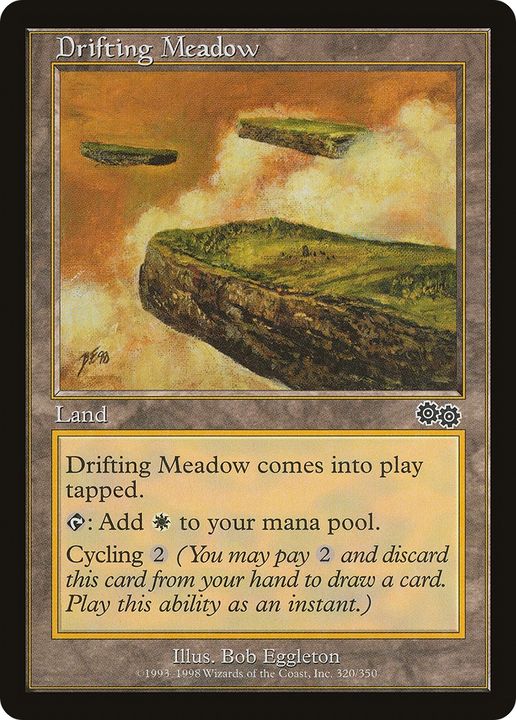 Drifting Meadow in the group Magic the Gathering / Types / Colors / Colorless at Proxyprinters.com (61775)