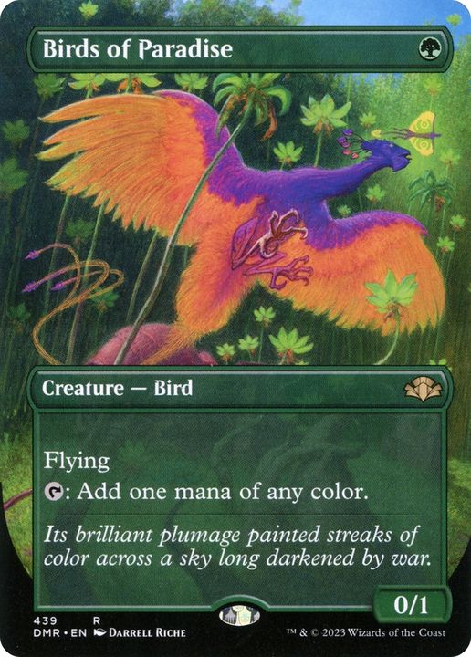 Birds of Paradise in the group Singles at Proxyprinters.com (61970)